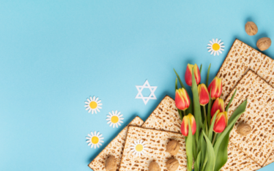Resources for your Seder & Liberation